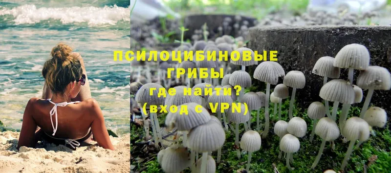 Галлюциногенные грибы Magic Shrooms  Алушта 